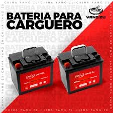 Repuesto Eléctrico